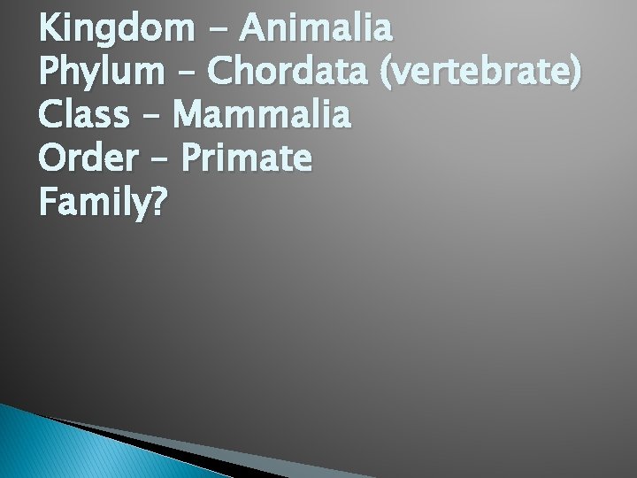 Kingdom - Animalia Phylum – Chordata (vertebrate) Class – Mammalia Order – Primate Family?