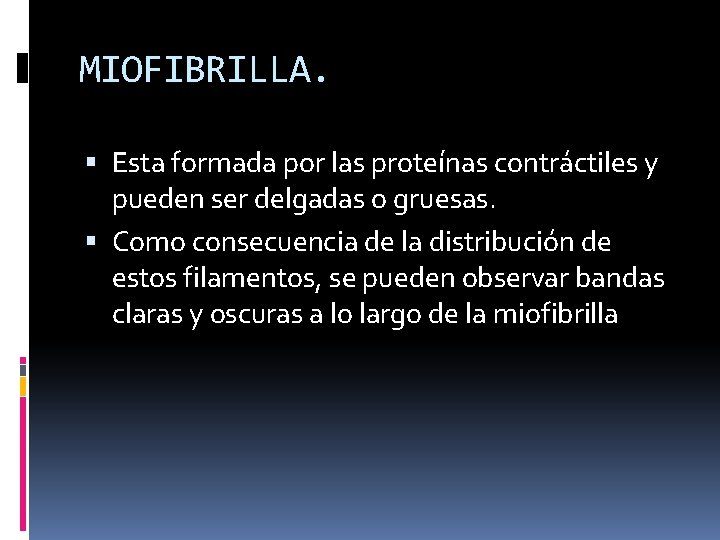 MIOFIBRILLA. Esta formada por las proteínas contráctiles y pueden ser delgadas o gruesas. Como