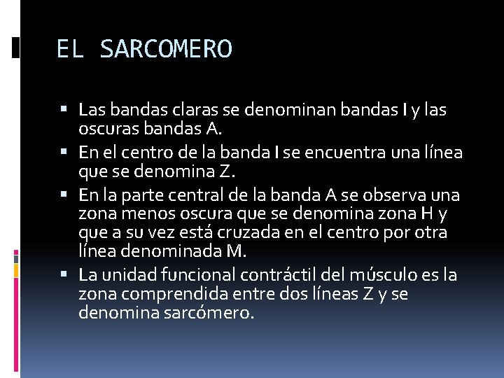 EL SARCOMERO Las bandas claras se denominan bandas Ι y las oscuras bandas A.