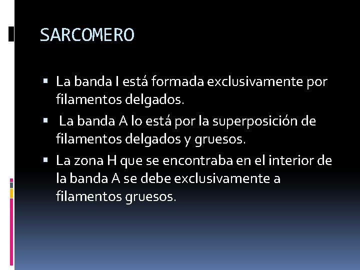 SARCOMERO La banda Ι está formada exclusivamente por filamentos delgados. La banda A lo