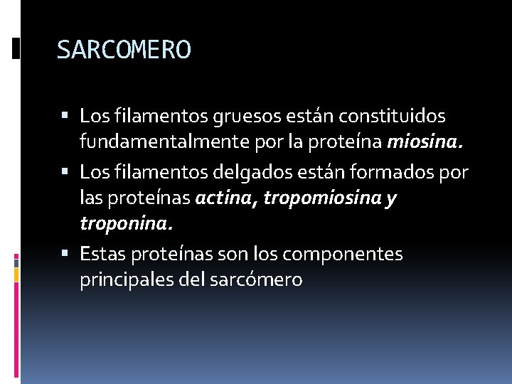 SARCOMERO Los filamentos gruesos están constituidos fundamentalmente por la proteína miosina. Los filamentos delgados