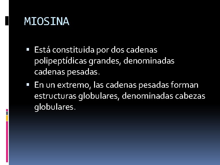 MIOSINA Está constituida por dos cadenas polipeptídicas grandes, denominadas cadenas pesadas. En un extremo,