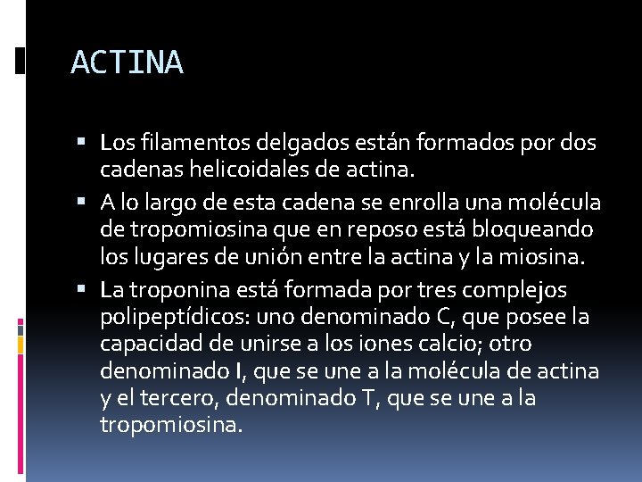 ACTINA Los filamentos delgados están formados por dos cadenas helicoidales de actina. A lo