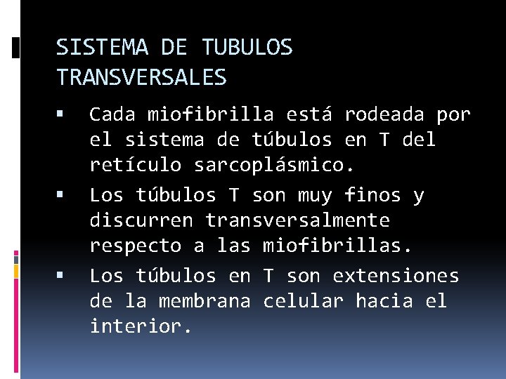 SISTEMA DE TUBULOS TRANSVERSALES Cada miofibrilla está rodeada por el sistema de túbulos en