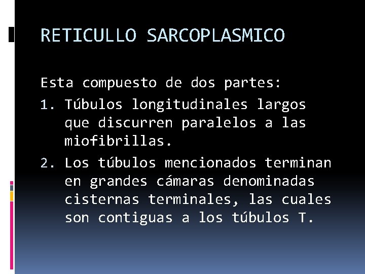RETICULLO SARCOPLASMICO Esta compuesto de dos partes: 1. Túbulos longitudinales largos que discurren paralelos
