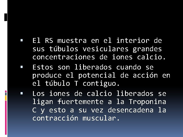  El RS muestra en el interior de sus túbulos vesiculares grandes concentraciones de