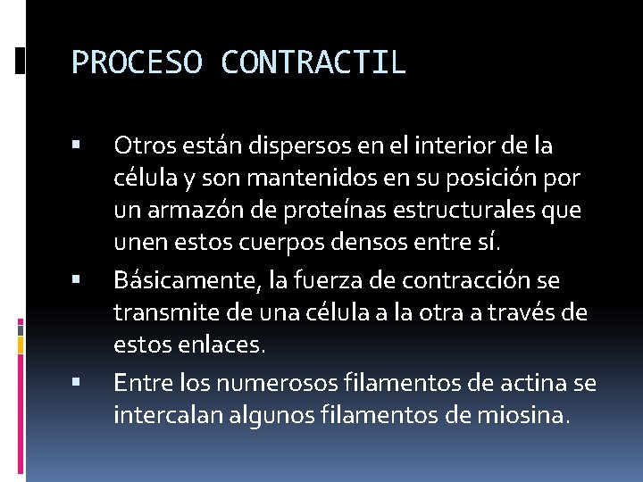 PROCESO CONTRACTIL Otros están dispersos en el interior de la célula y son mantenidos