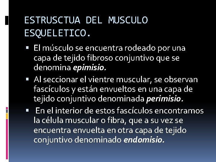 ESTRUSCTUA DEL MUSCULO ESQUELETICO. El músculo se encuentra rodeado por una capa de tejido