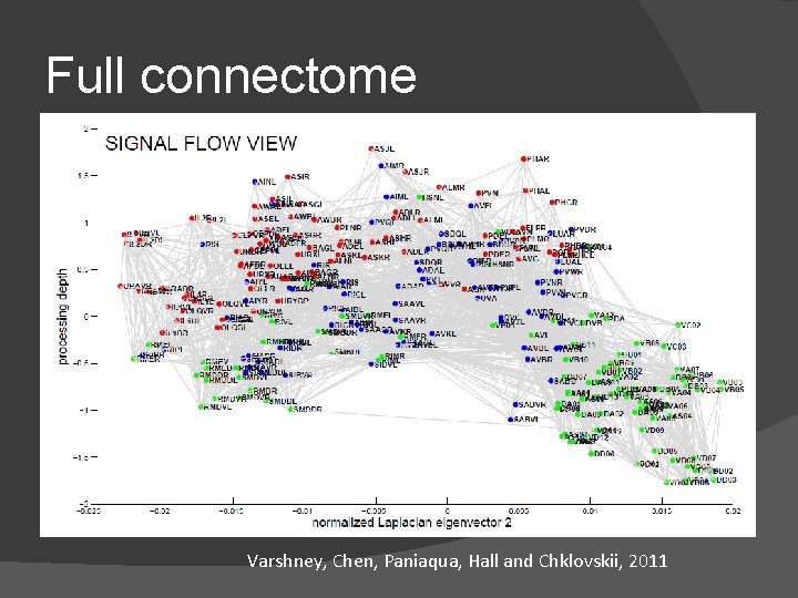 Full connectome Varshney, Chen, Paniaqua, Hall and Chklovskii, 2011 Full connectome Varshney, Chen, Paniaqua, Hall and Chklovskii, 2011