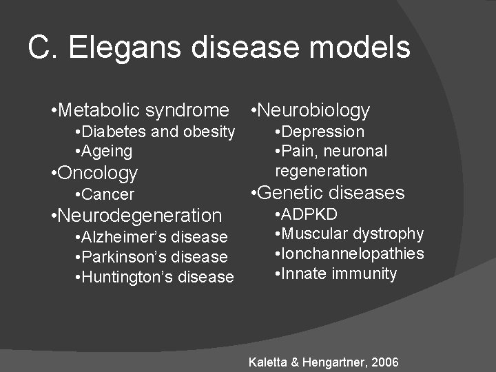 C. Elegans disease models • Metabolic syndrome • Diabetes and obesity • Ageing • C. Elegans disease models • Metabolic syndrome • Diabetes and obesity • Ageing •