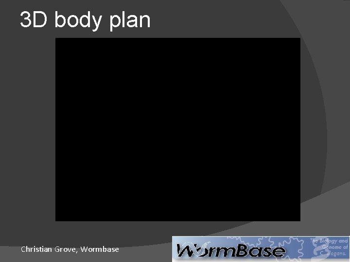 3 D body plan Christian Grove, Wormbase 3 D body plan Christian Grove, Wormbase