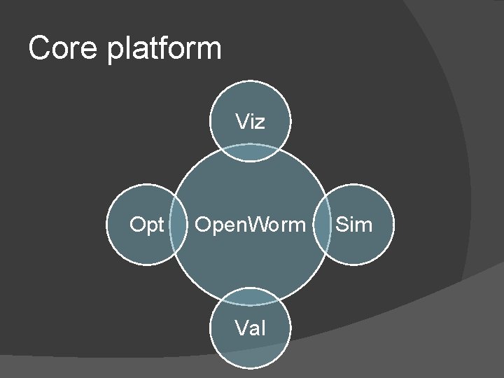 Core platform Viz Opt Open. Worm Val Sim Core platform Viz Opt Open. Worm Val Sim
