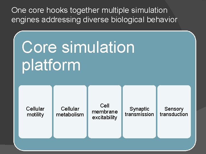 One core hooks together multiple simulation engines addressing diverse biological behavior Core simulation platform One core hooks together multiple simulation engines addressing diverse biological behavior Core simulation platform