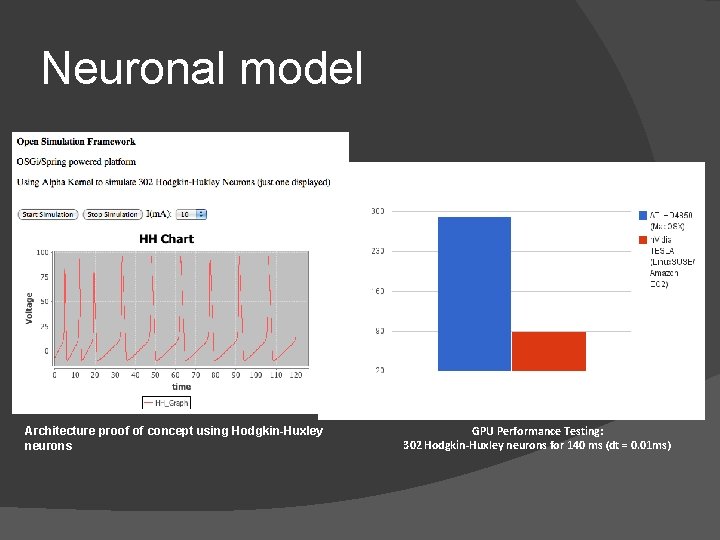 Neuronal model ms Architecture proof of concept using Hodgkin-Huxley neurons GPU Performance Testing: 302 Neuronal model ms Architecture proof of concept using Hodgkin-Huxley neurons GPU Performance Testing: 302