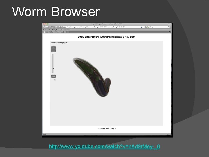 Worm Browser http: //www. youtube. com/watch? v=n. Ad 9 r. Mey-_0 Worm Browser http: //www. youtube. com/watch? v=n. Ad 9 r. Mey-_0