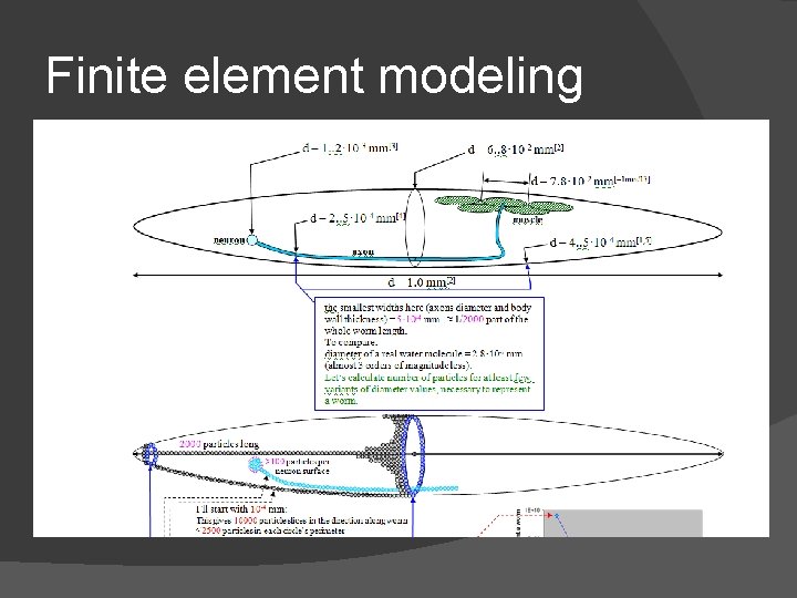Finite element modeling Finite element modeling