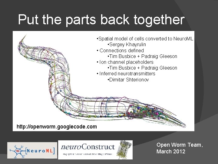Put the parts back together • Spatial model of cells converted to Neuro. ML Put the parts back together • Spatial model of cells converted to Neuro. ML