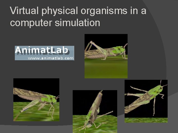 Virtual physical organisms in a computer simulation Virtual physical organisms in a computer simulation