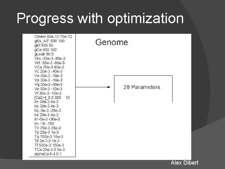 Progress with optimization Alex Dibert Progress with optimization Alex Dibert