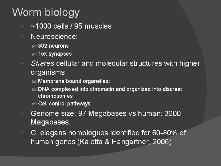 Worm biology ~1000 cells / 95 muscles Neuroscience: 302 neurons 15 k synapses Shares Worm biology ~1000 cells / 95 muscles Neuroscience: 302 neurons 15 k synapses Shares