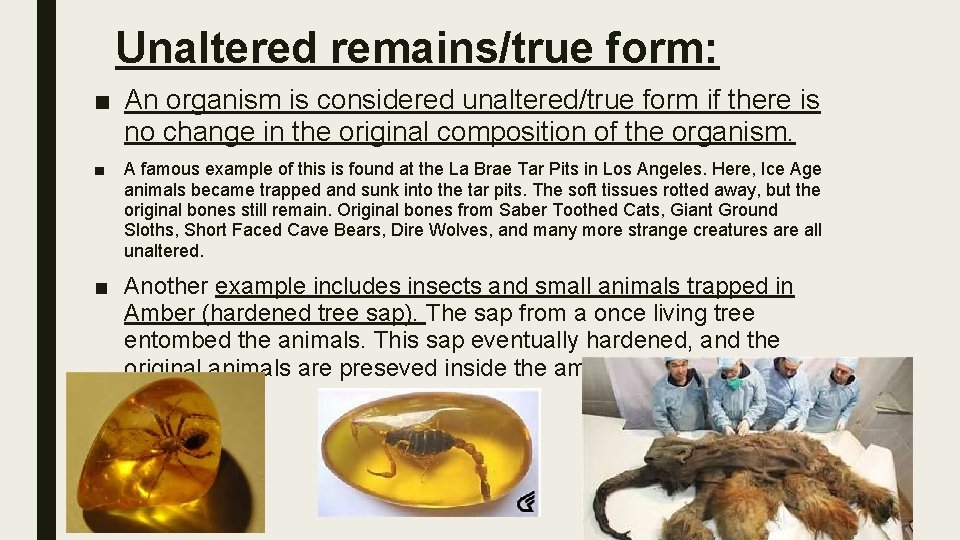 Unaltered remains/true form: ■ An organism is considered unaltered/true form if there is no