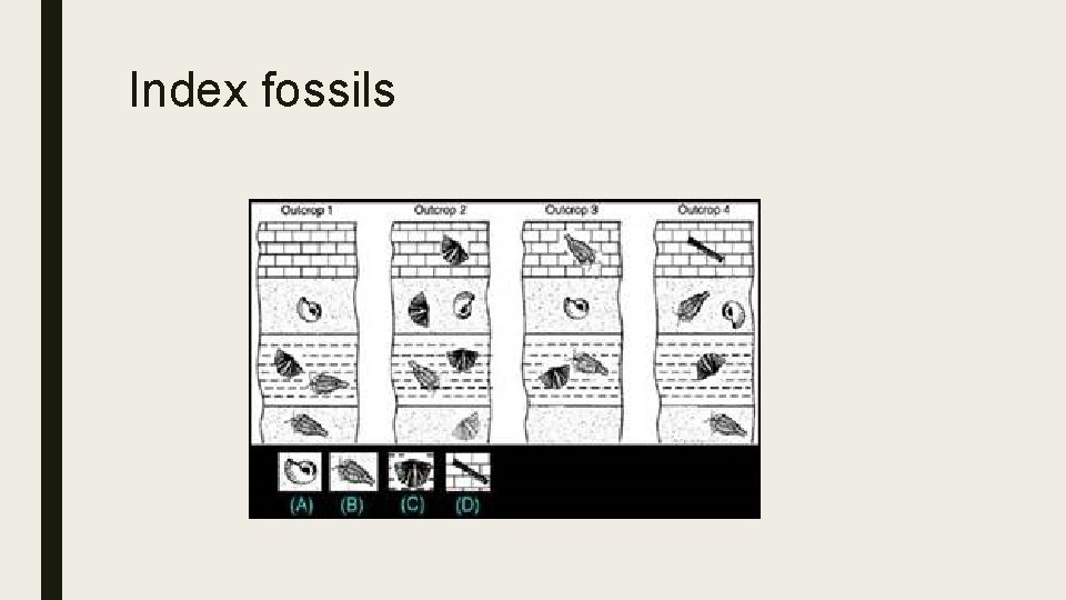 Index fossils 