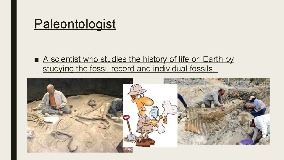Paleontologist ■ A scientist who studies the history of life on Earth by studying