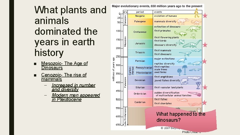 What plants and animals dominated the years in earth history ■ Mesozoic- The Age