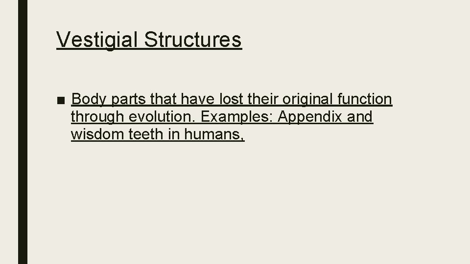 Vestigial Structures ■ Body parts that have lost their original function through evolution. Examples: