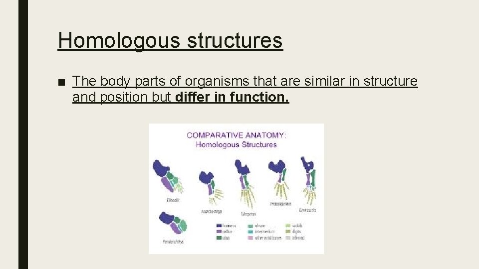 Homologous structures ■ The body parts of organisms that are similar in structure and