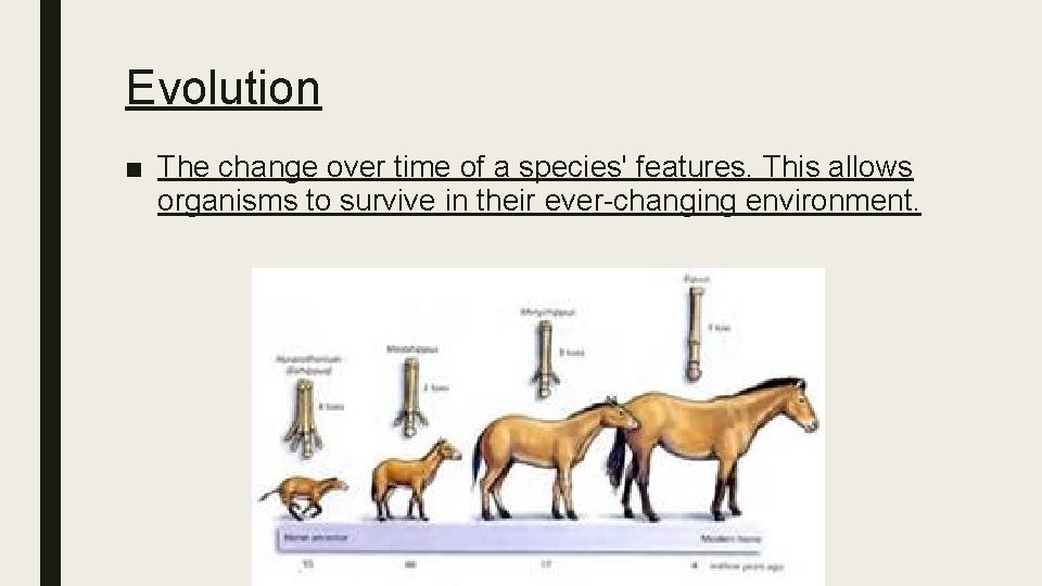 Evolution ■ The change over time of a species' features. This allows organisms to