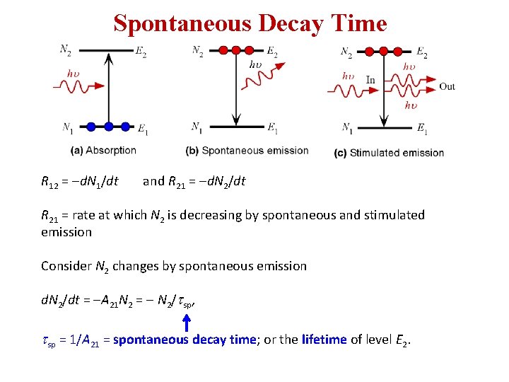 Spontaneous Decay Time R 12 = -d. N 1/dt and R 21 = -d.