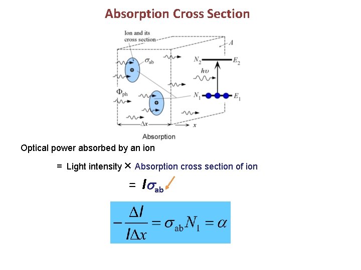 Absorption Cross Section Optical power absorbed by an ion = Light intensity × Absorption