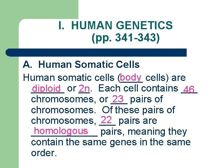 I. HUMAN GENETICS (pp. 341 -343) A. Human Somatic Cells body Human somatic cells
