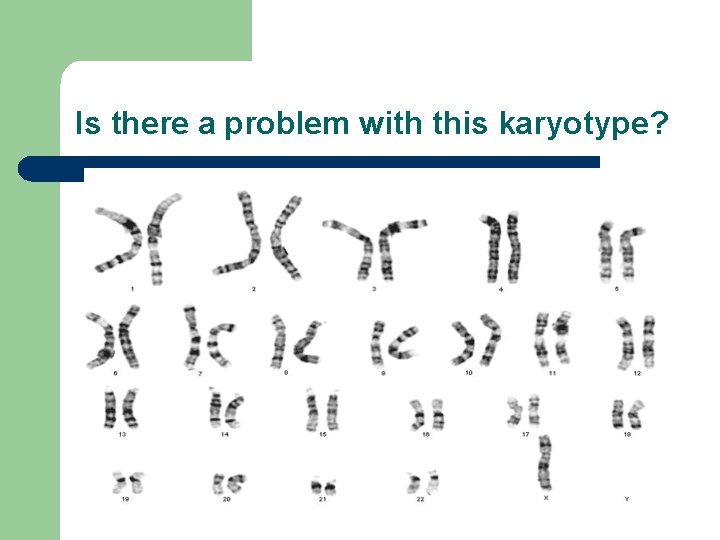 Is there a problem with this karyotype? 