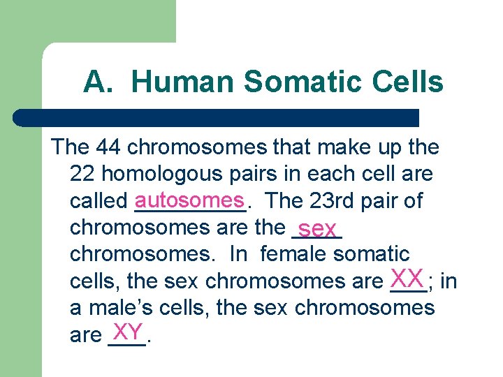 A. Human Somatic Cells The 44 chromosomes that make up the 22 homologous pairs