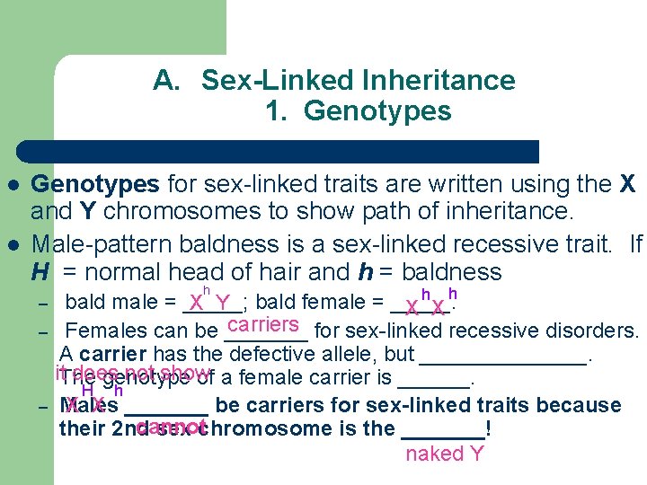 A. Sex-Linked Inheritance 1. Genotypes l l Genotypes for sex-linked traits are written using