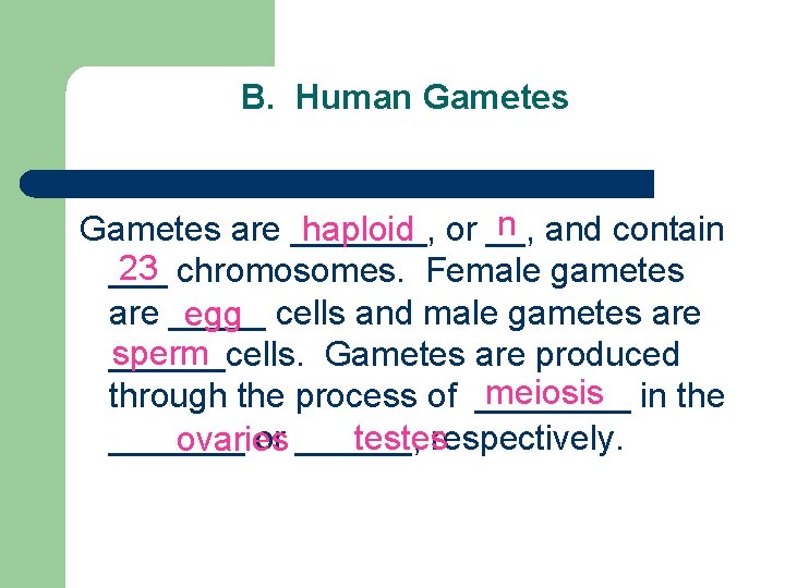 B. Human Gametes are _______, or __, and contain haploid 23 ___ chromosomes. Female