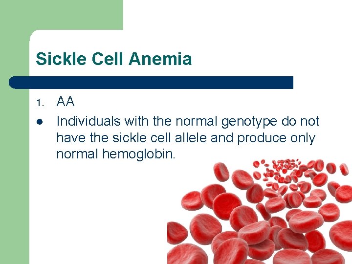 Sickle Cell Anemia 1. l AA Individuals with the normal genotype do not have