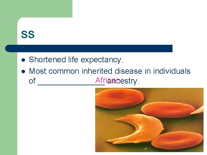 SS l l Shortened life expectancy. Most common inherited disease in individuals African of