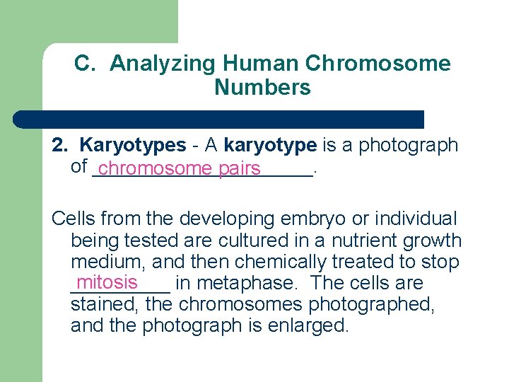 C. Analyzing Human Chromosome Numbers 2. Karyotypes - A karyotype is a photograph of