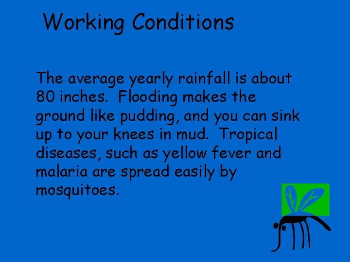 Working Conditions The average yearly rainfall is about 80 inches. Flooding makes the ground