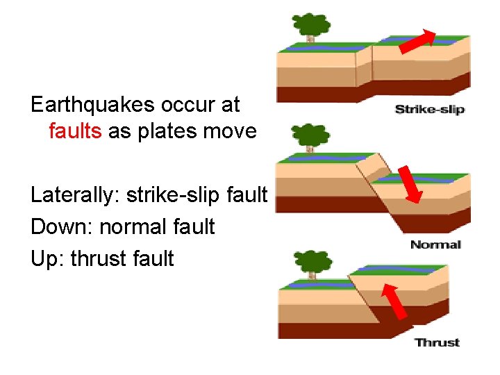 Earthquakes occur at faults as plates move Laterally: strike-slip fault Down: normal fault Up: