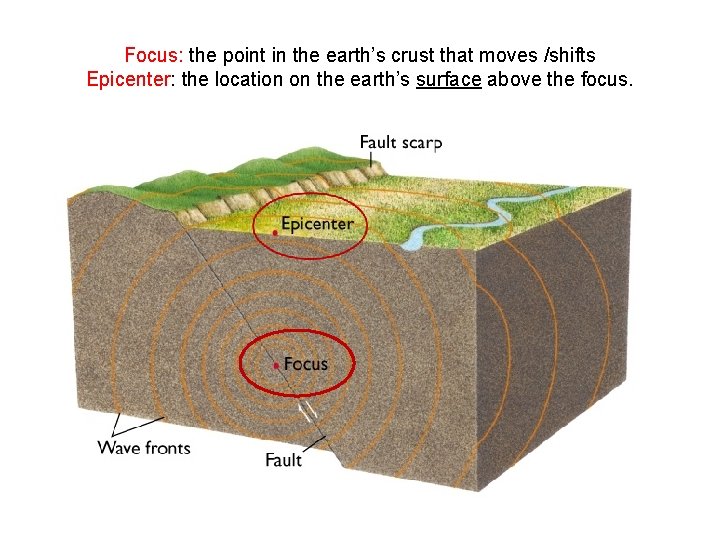 Focus: the point in the earth’s crust that moves /shifts Epicenter: the location on