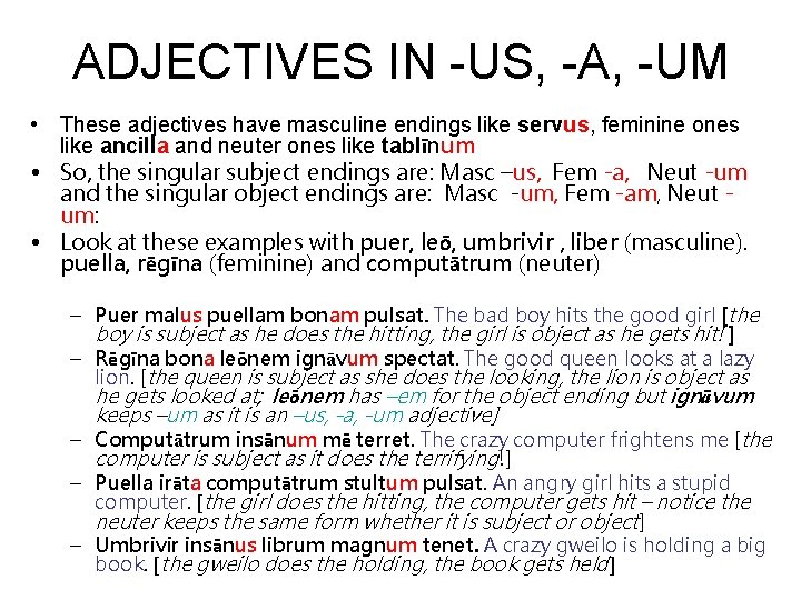 ADJECTIVES IN -US, -A, -UM • These adjectives have masculine endings like servus, feminine