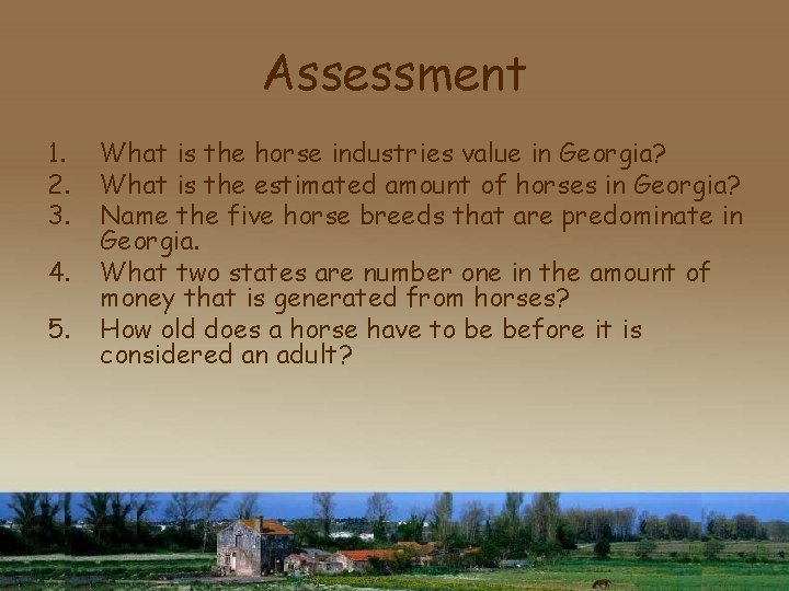 Assessment 1. 2. 3. 4. 5. What is the horse industries value in Georgia?