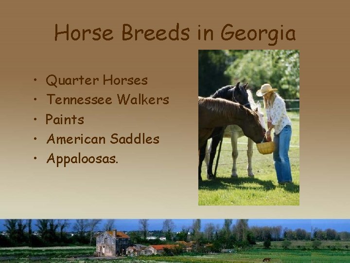 Horse Breeds in Georgia • • • Quarter Horses Tennessee Walkers Paints American Saddles