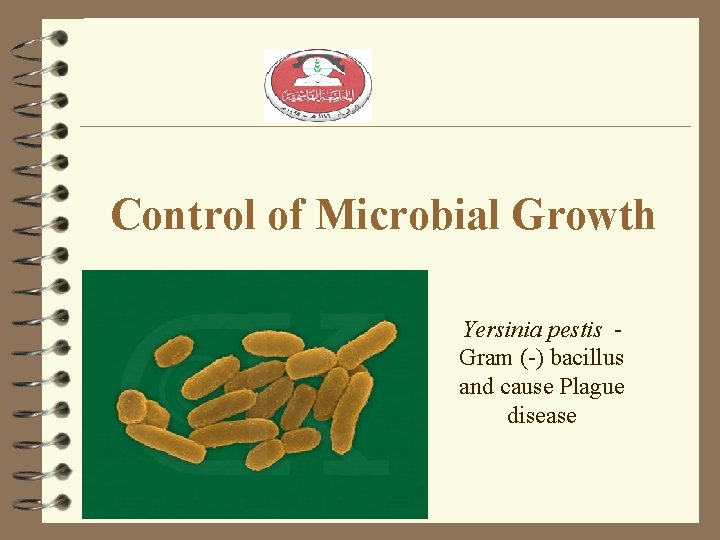 Control of Microbial Growth Yersinia pestis Gram (-) bacillus and cause Plague disease 