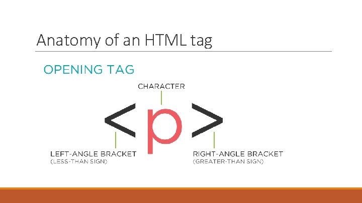 Anatomy of an HTML tag 