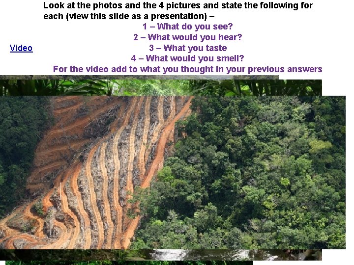 Video Look at the photos and the 4 pictures and state the following for Video Look at the photos and the 4 pictures and state the following for